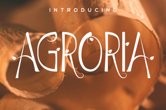 Agroria Display Font for Elegant Brand Identity