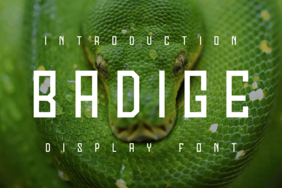 Badige Display Font for Handmade Creators