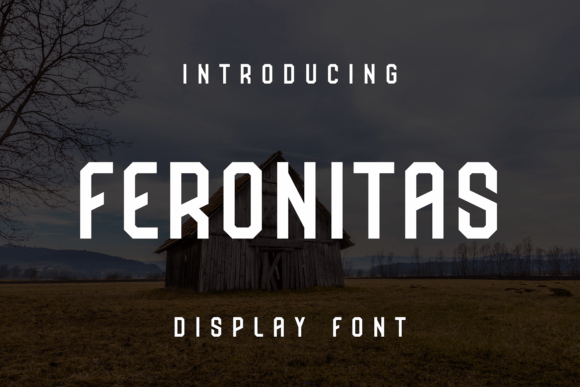Feronitas: A Standout Display Font for Bold Creative Projects