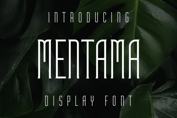 Mentama Display Font for Bold, Memorable Campaigns