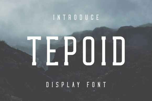 Tepoid: A Standout Display Font for Bold Creative Projects